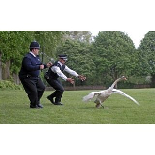 Hot Fuzz