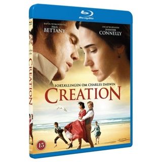 CREATION   BD